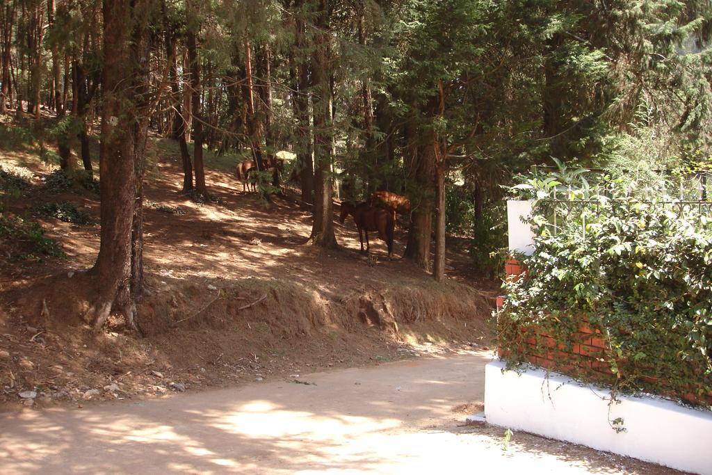 Bed and Breakfast The Red House à Ooty Extérieur photo